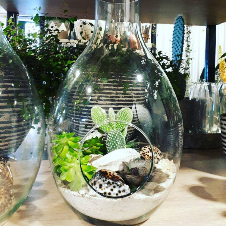 Morgen vaderdag!🌵🍃