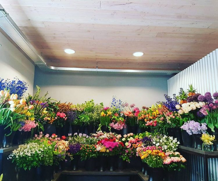 FRESH FLOWERS