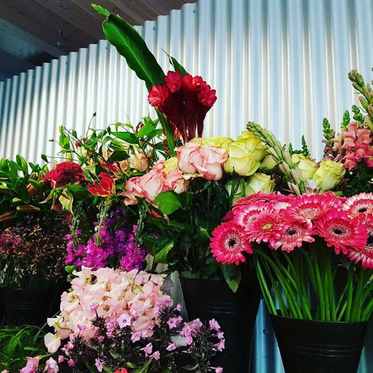 FLOWERS 🌸🍃🌼🌹☘🌻🌺🌿