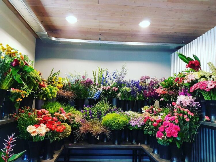 FLOWERS 🌸🍃🌼🌹☘🌻🌺🌿