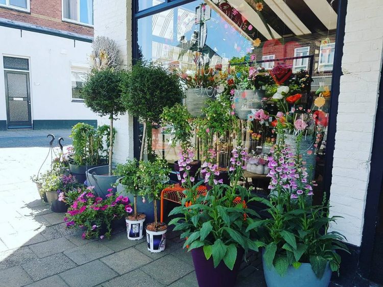 ZONDAG MOEDERDAG //  ❤🌸🍍🌺🍒🌿