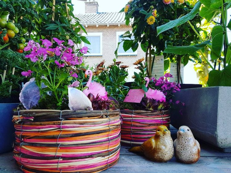 ZONDAG MOEDERDAG //  ❤🌸🍍🌺🍒🌿