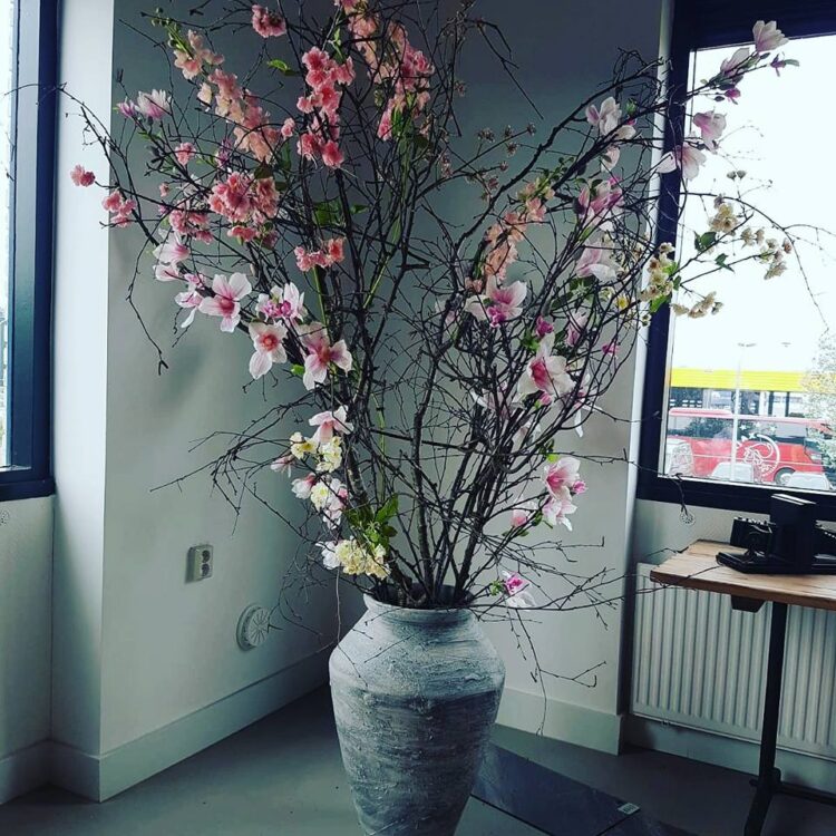 Bedrijfsstyling Vivafloors