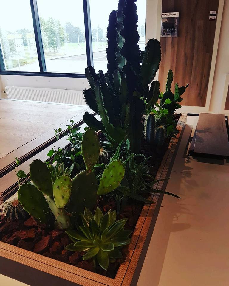Bedrijfsstyling Vivafloors