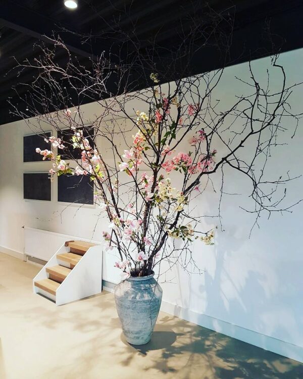 Bedrijfsstyling Vivafloors