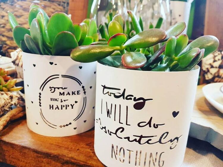 G r e e n v i b e s —  🌿🍃🌱