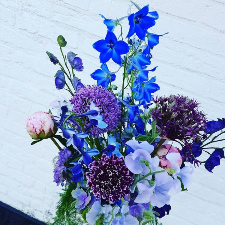 Lovely Blue — 💙💙