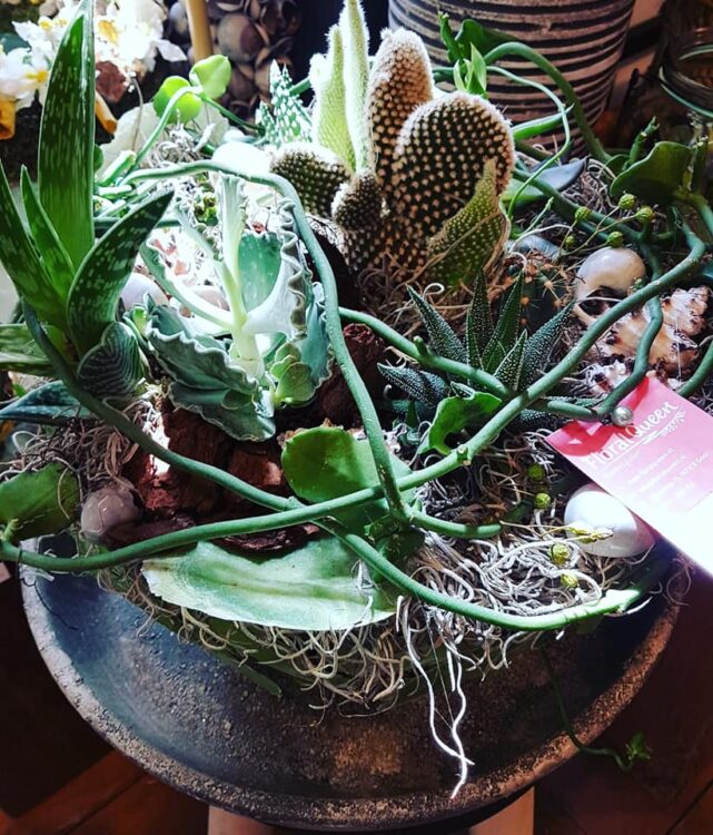 G R E E N VIBES