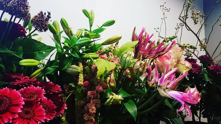 Fresh flowers 🍃🌸 //