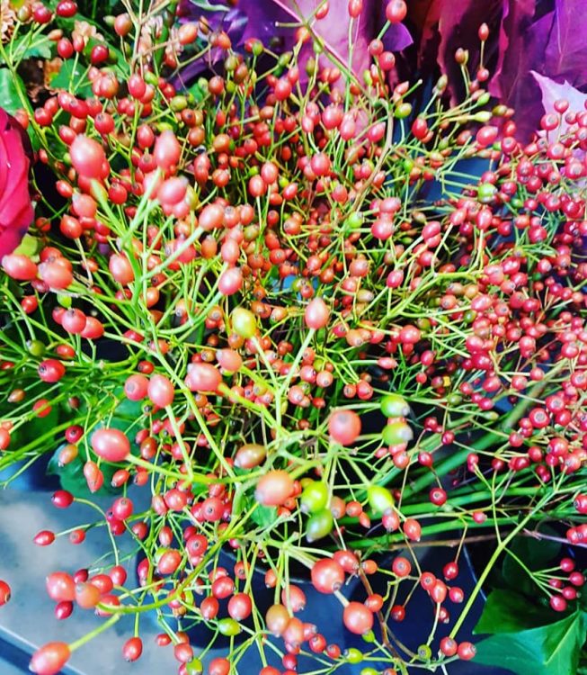 BLOEMEN — 🌿🍂🌺