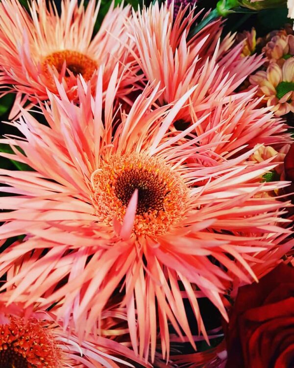 BLOEMEN — 🌿🍂🌺