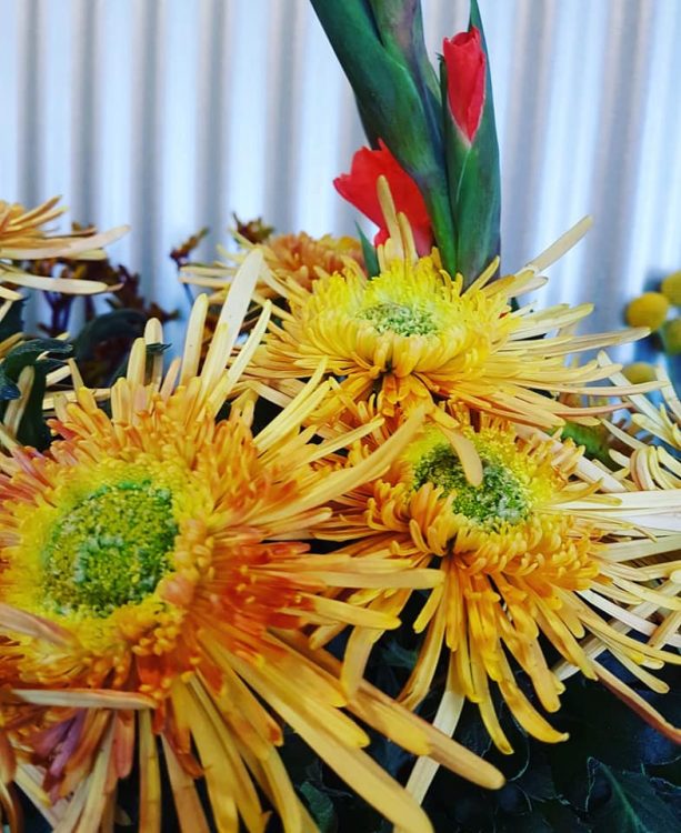 BLOEMEN — 🌿🍂🌺
