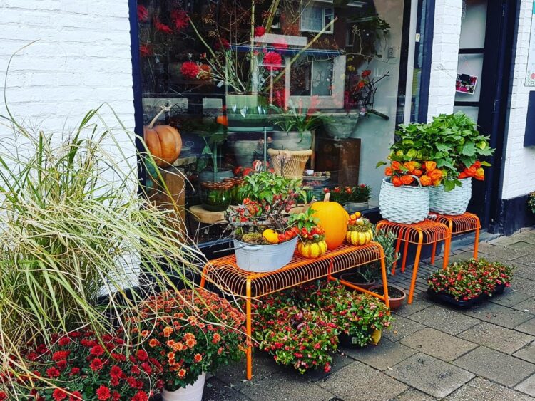 // Nieuwe buitenplanten 🍂🍁🍃