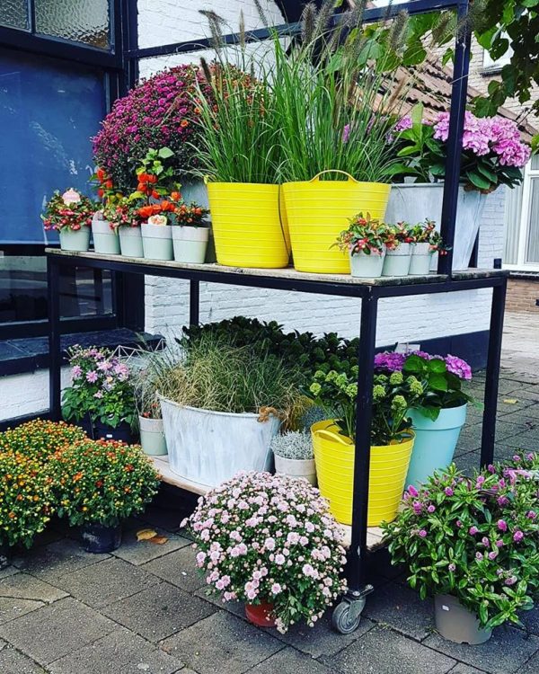 // Nieuwe buitenplanten 🍂🍁🍃