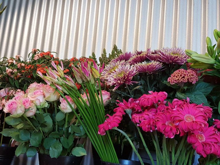 BLOEMEN — 🌸🌺🍁