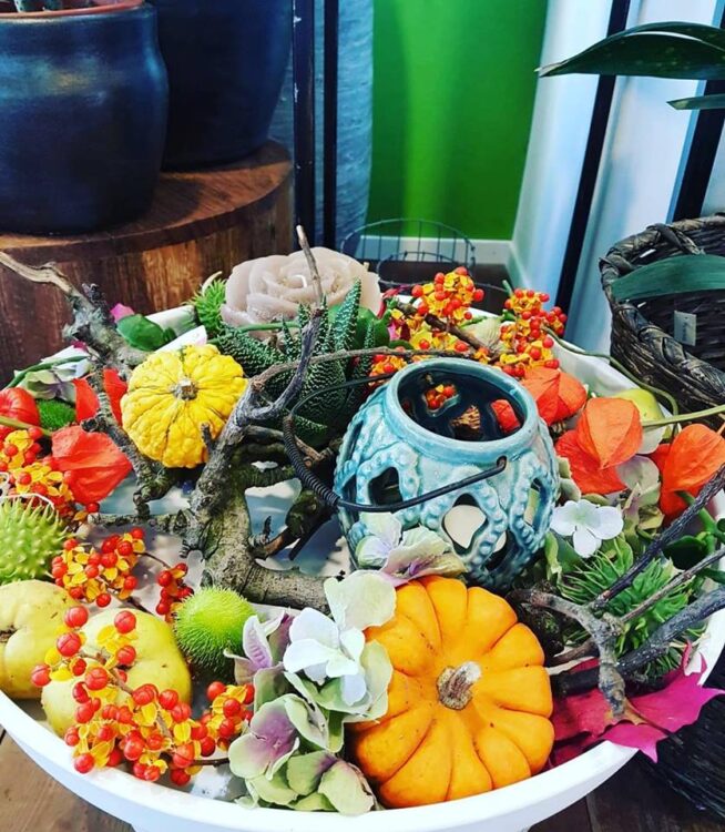 Autumn🍄🍂🌾🌺