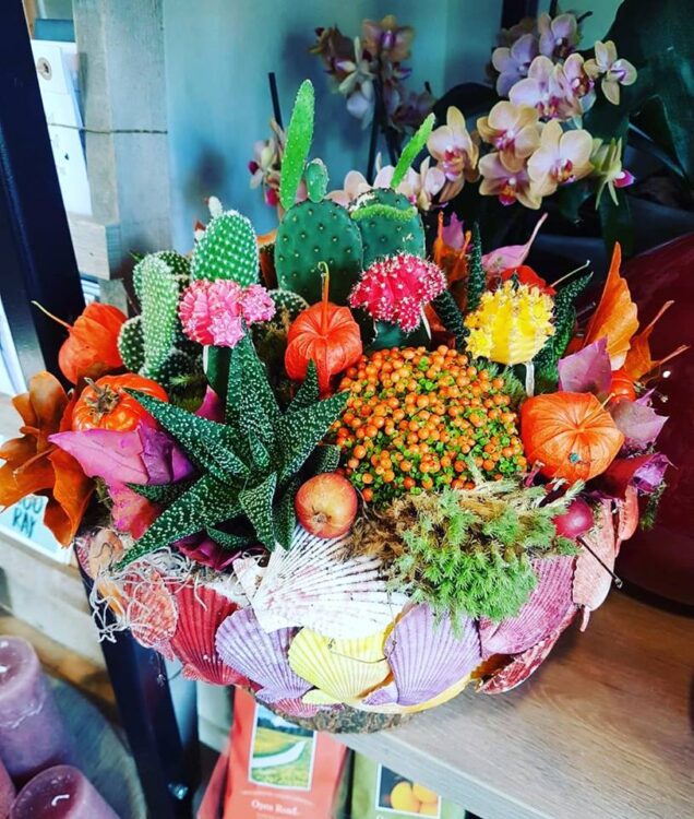 Autumn🍄🍂🌾🌺