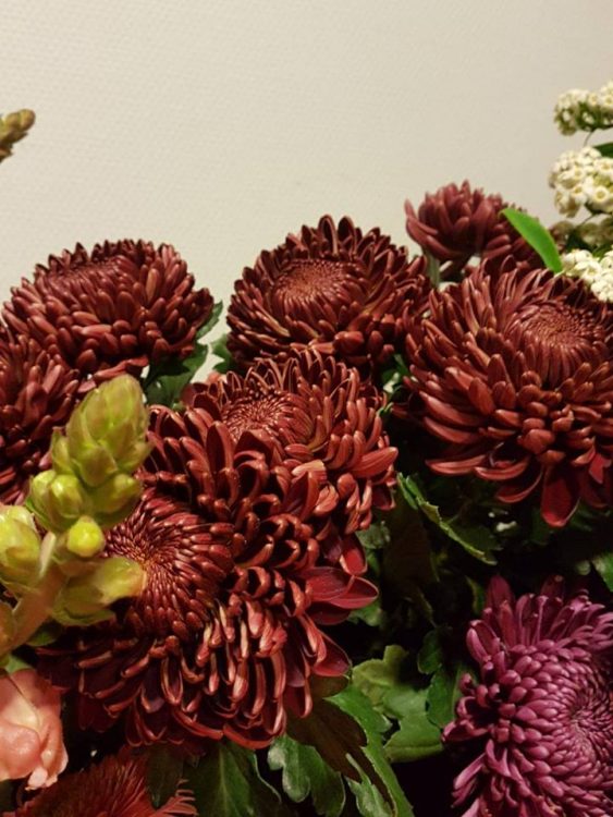 BLOEMEN