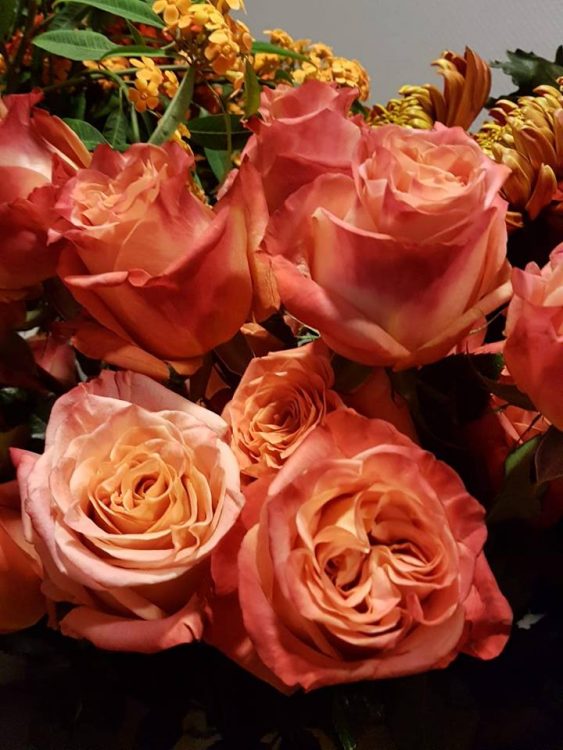 BLOEMEN