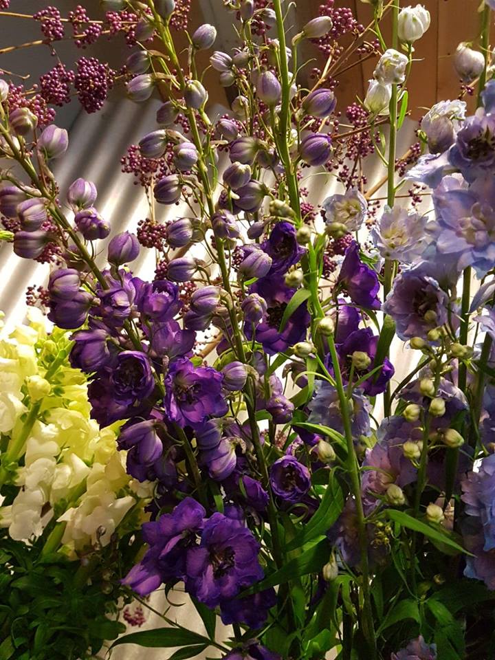 BLOEMEN