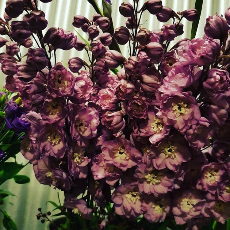 // BLOEMEN –