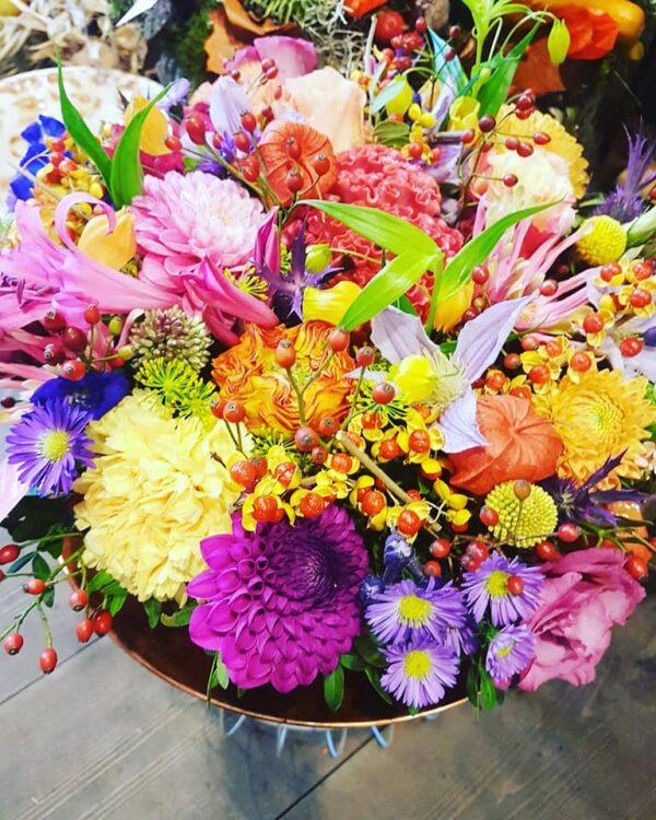 HERFST — 🌾🍄🌺🌸🍁🌿🍂☘