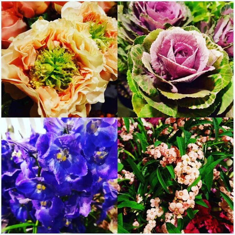 Flower your dayy! 🌸🌺🌿