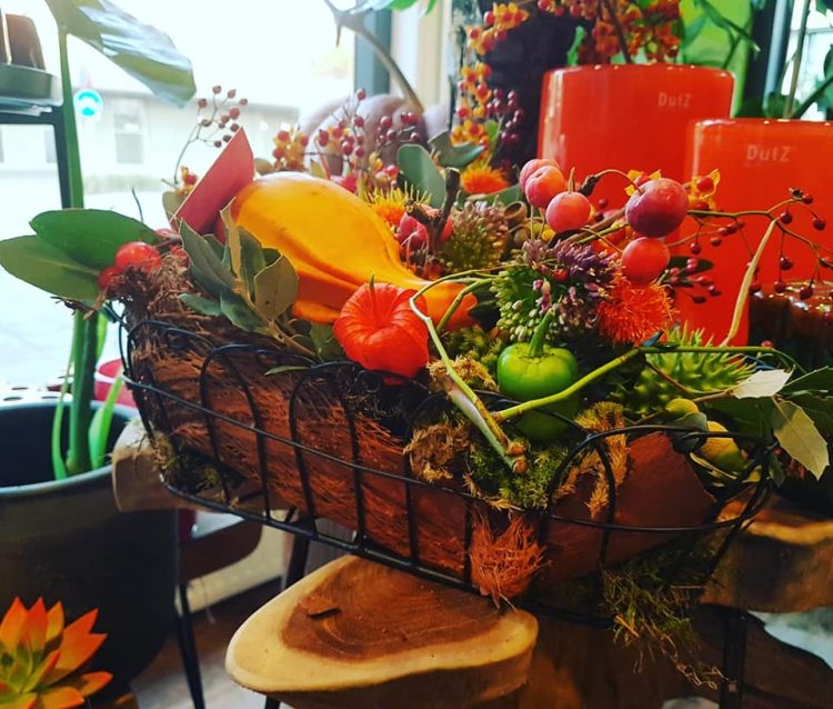 HERFST — 🌾🍄🌺🌸🍁🌿🍂☘