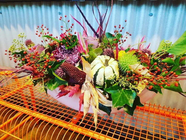 HERFST — 🌾🍄🌺🌸🍁🌿🍂☘