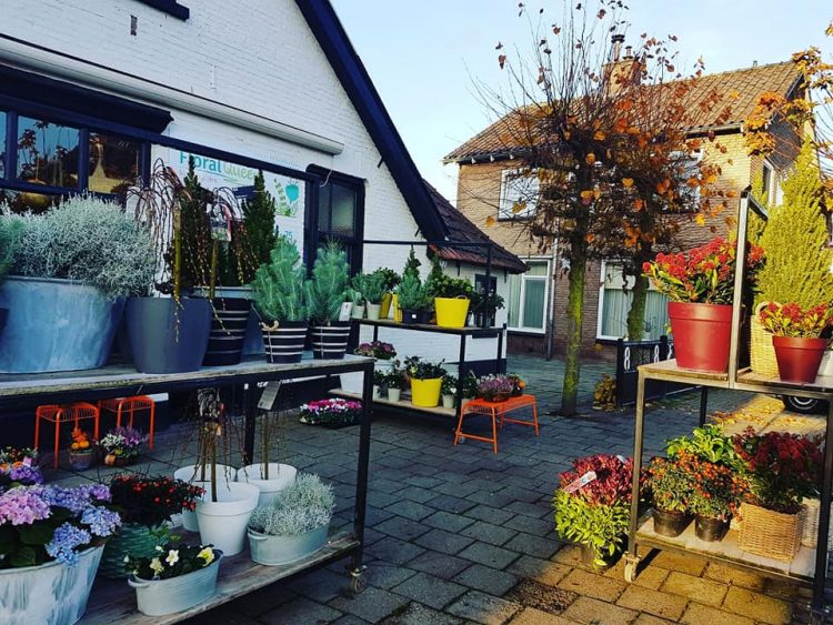 N i e u w e – planten!