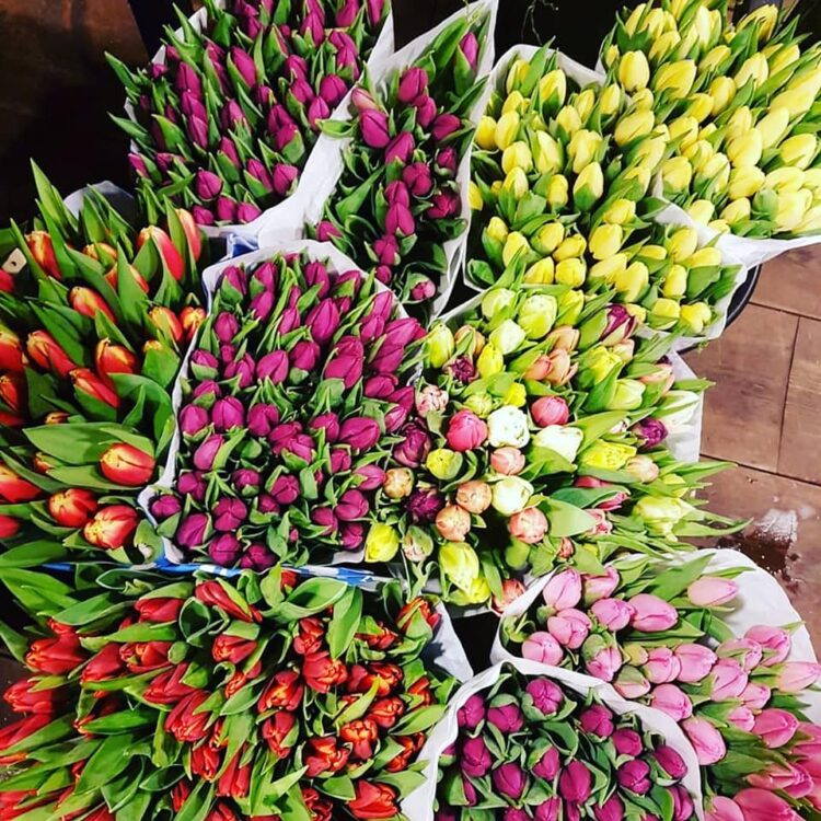BLOEMEN —