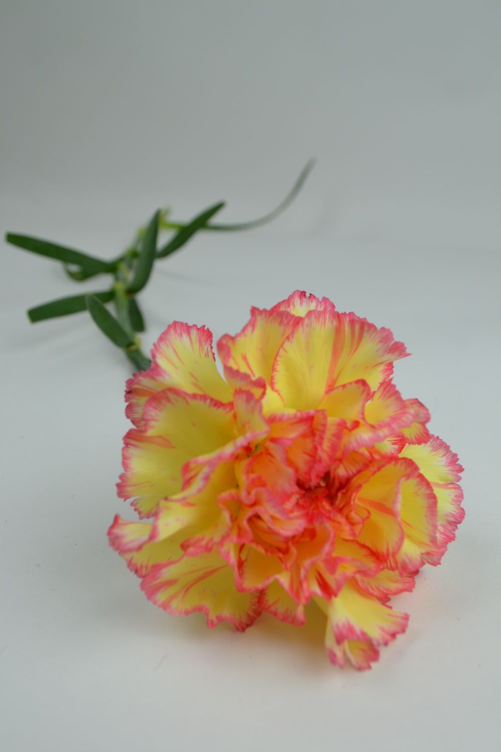 Boeket XS