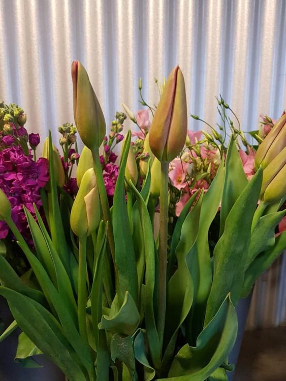 FRESH FLOWERS