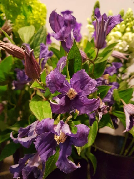 FRESH FLOWERS