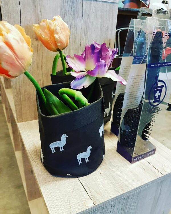 ETALAGE VOORJAAR — 🌿🌷