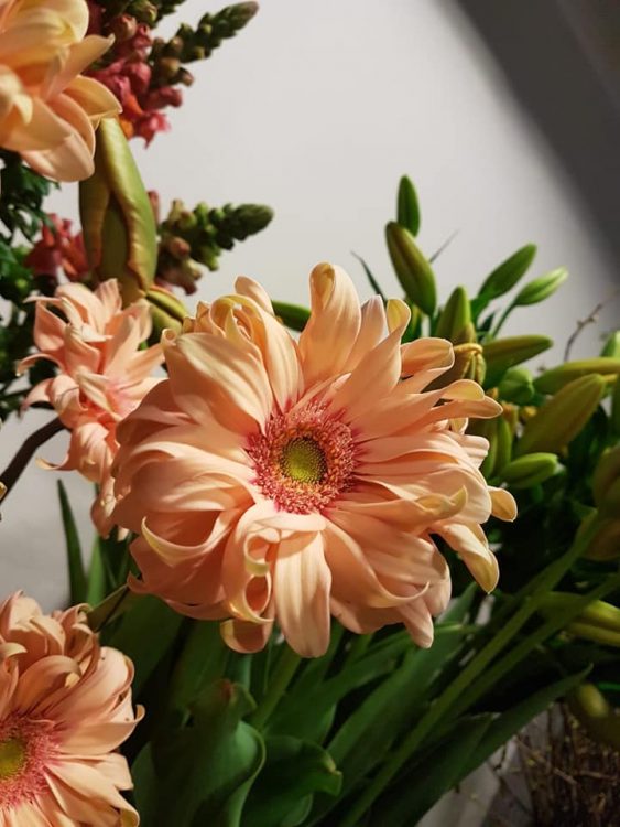 FRESH FLOWERS