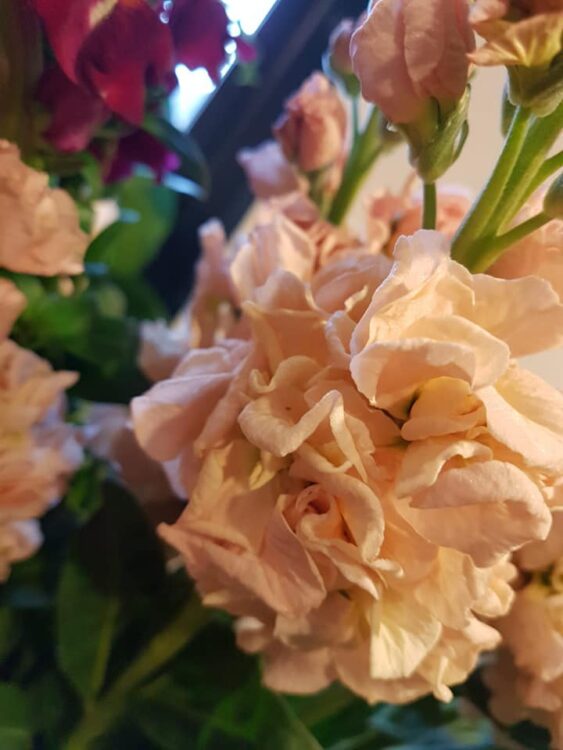 FRESH FLOWERS