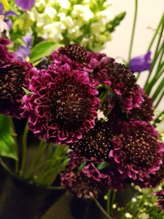 FRESH FLOWERS