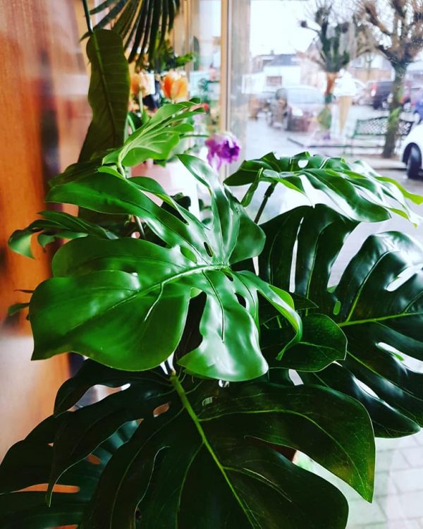 ETALAGE VOORJAAR — 🌿🌷