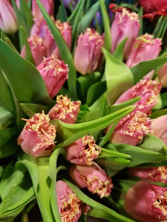 FRESH FLOWERS