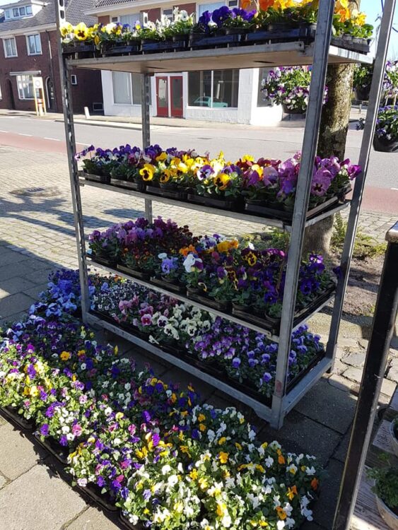 SPRING IS IN THE AIR — 🌿🌸