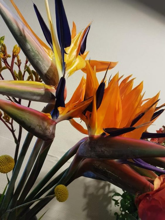 FRESH FLOWERS