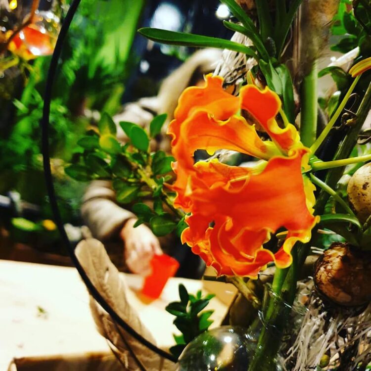 LENTE WORKSHOP 