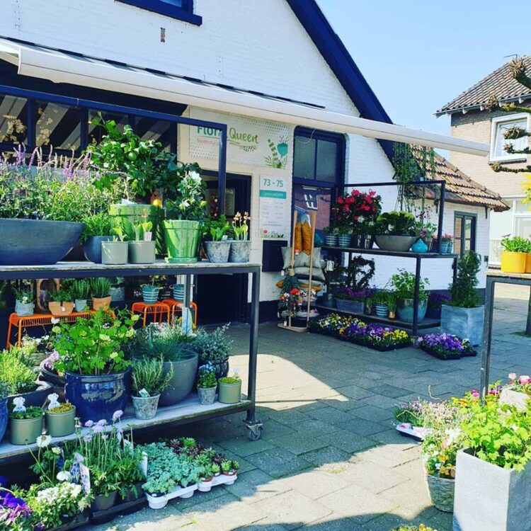 BUITEN PLANTEN