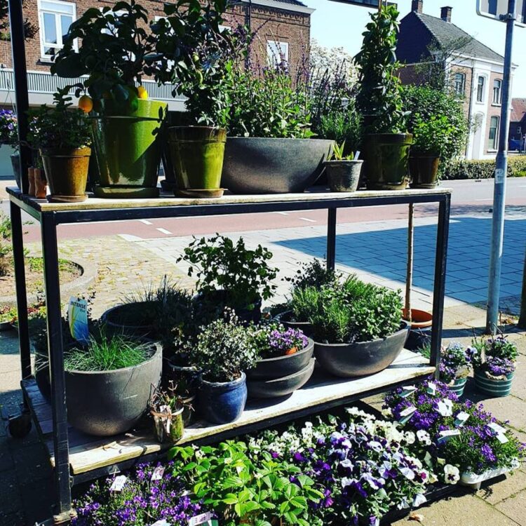 BUITEN PLANTEN