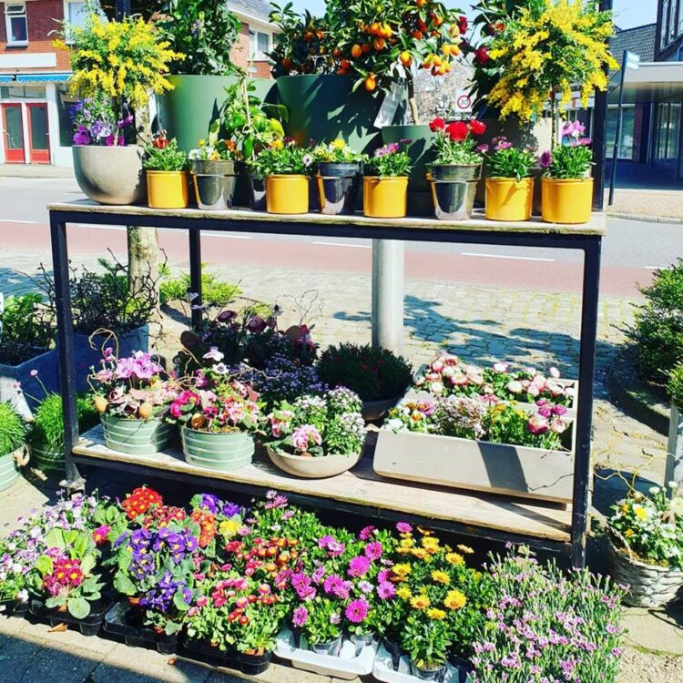 BUITEN PLANTEN