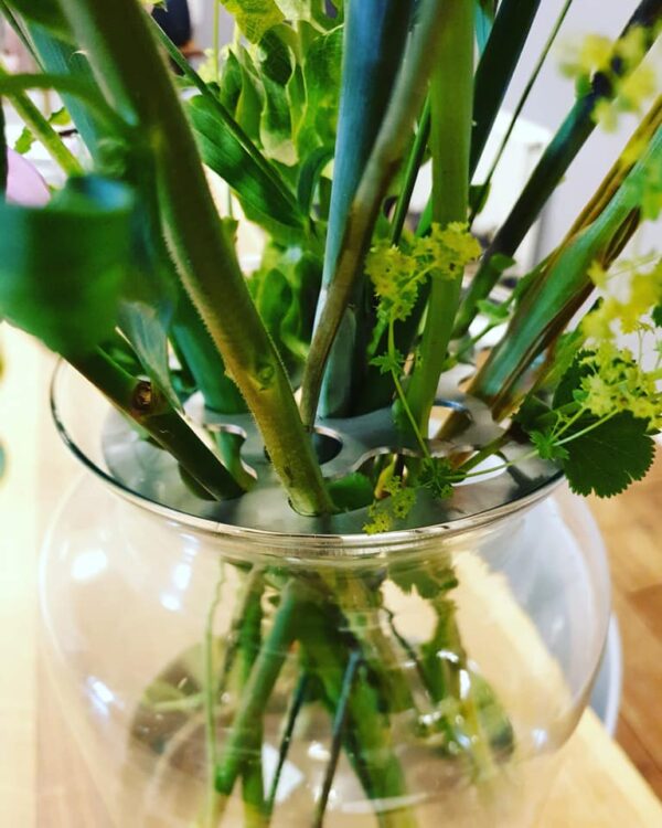 NIEUW *** Een handig hulpje 🌱🌿