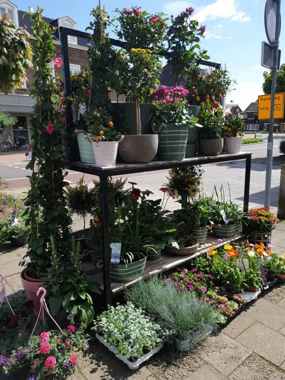 BUITEN PLANTEN —