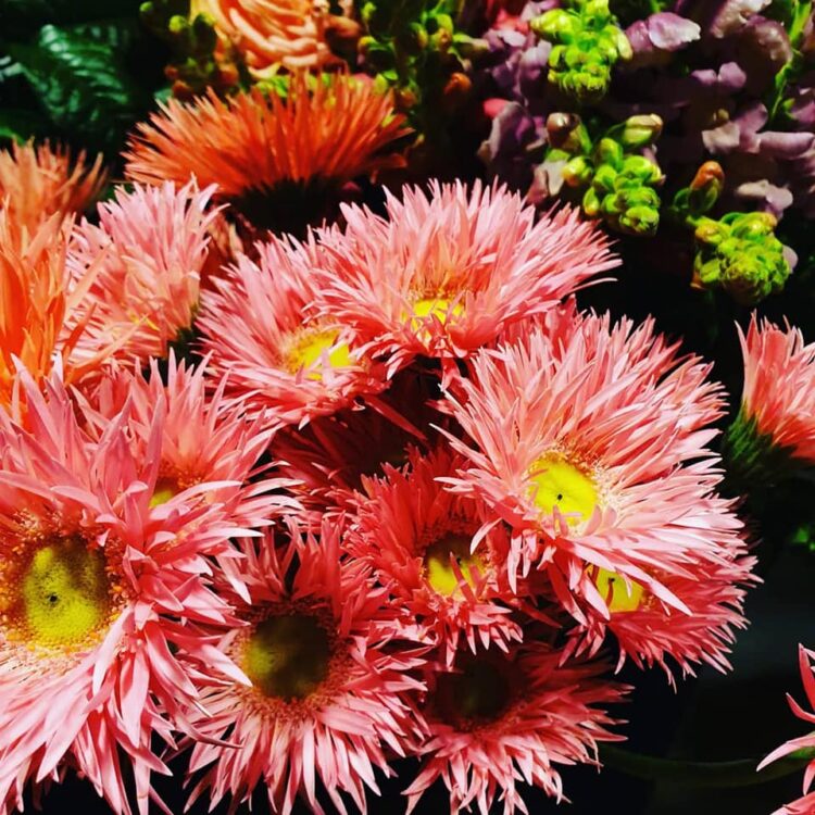 MOEDERDAG BLOEMEN — 🌿❤😍🌸