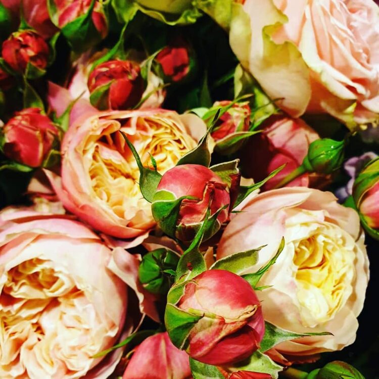 MOEDERDAG BLOEMEN — 🌿❤😍🌸
